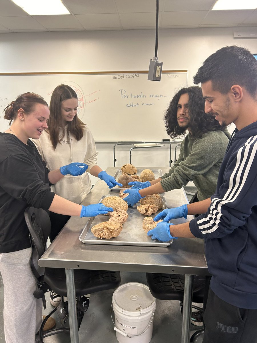 Wow what an experience today for Biomed at BW’s cadaver lab! <a href="/polariscareer/">Polaris Career Center</a> <a href="/OFHSLeoSpagnola/">Leo Spagnola</a> <a href="/ofhsbulldogs/">OFHS</a>