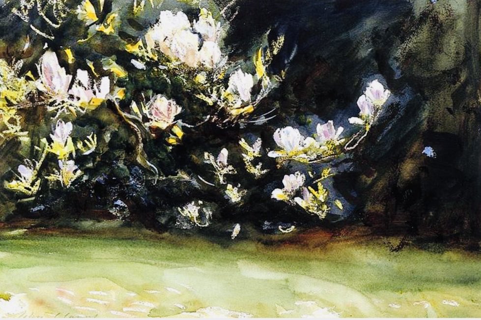 Spring has officially sprung! #magnolias courtesy of John Singer Sargent. #equinox #ostara