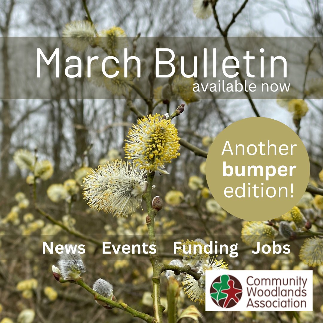 The March Bulletin is available - such a lot happening! 😀 Check it out: communitywoods.org/newsletters-an…