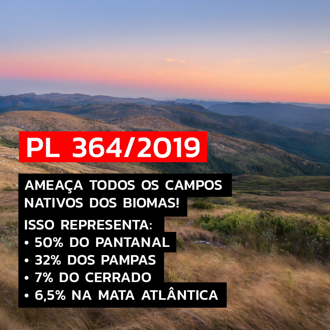 🚨ALERTA! O PL 364/2019, que enfraquece a Lei da Mata Atlântica e em votação hoje (20) na @camaradosdeputados libera o desmatamento em áreas não florestais de todo o país. O projeto é uma ameaça a TODOS os nossos biomas! #AgirÉUrgente

#SalveOCódigoFlorestal #SalveaMataAtlântica