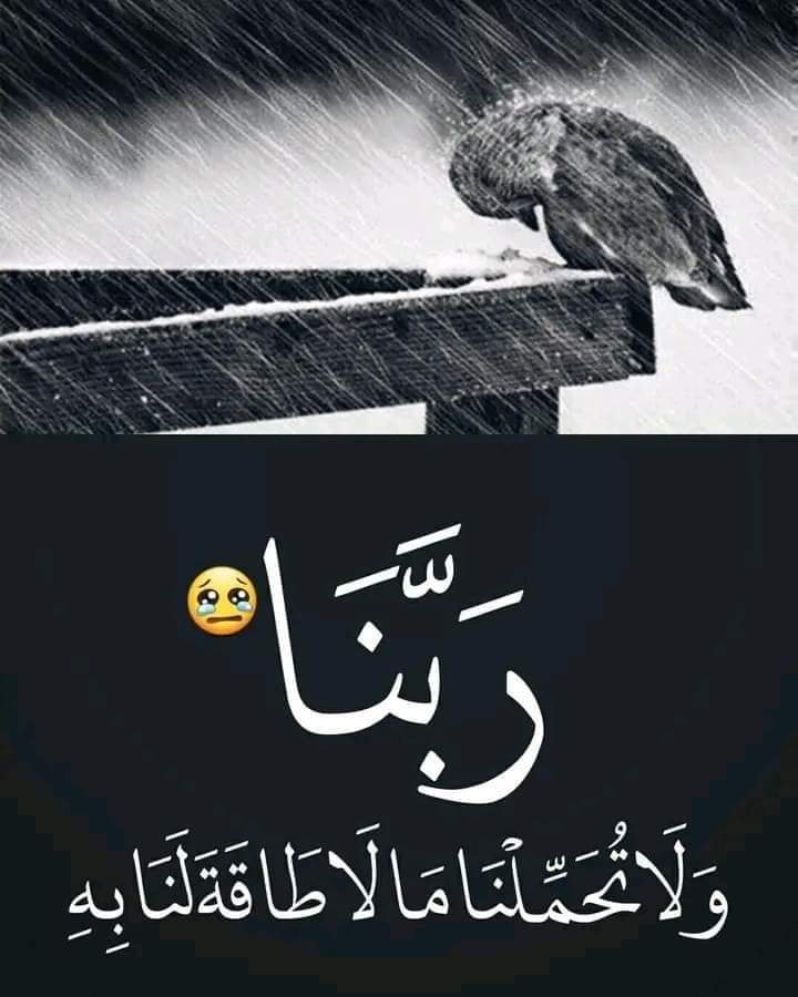 🇵🇸Alsadig Taha🇵🇸 (@alsadigtaha2) on Twitter photo 