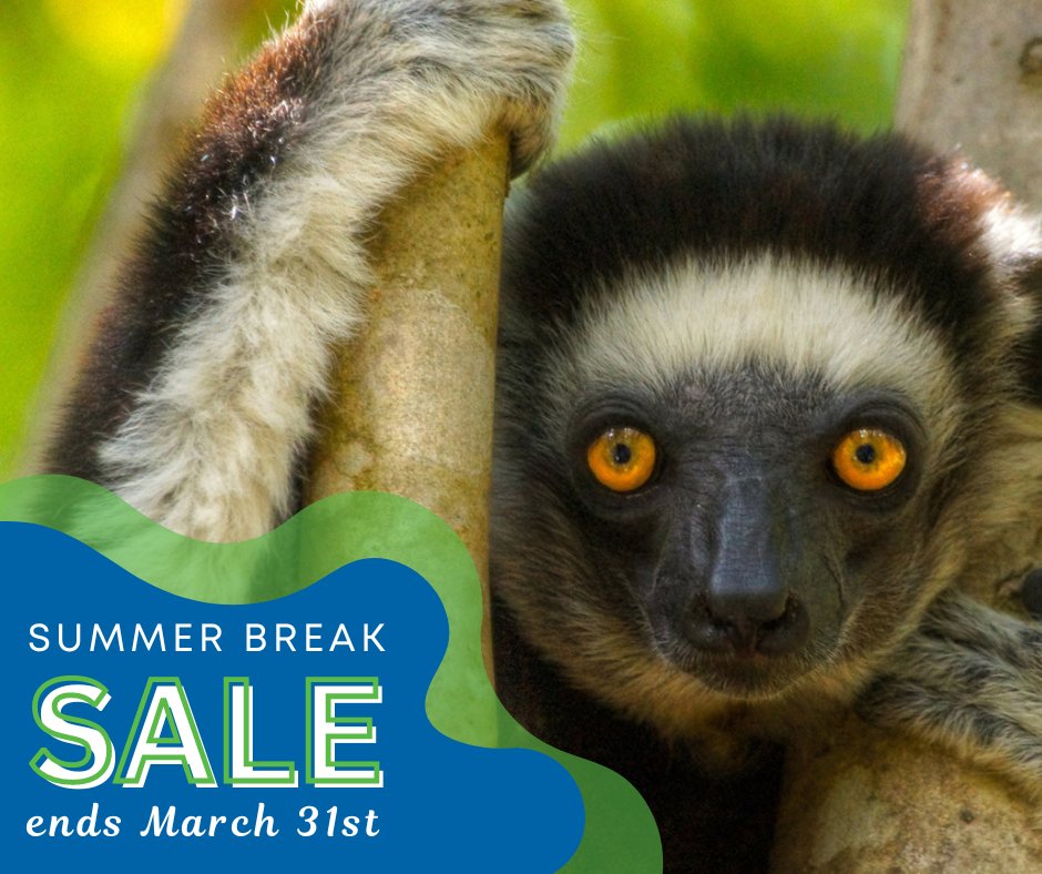 Our sale on select Summer 2024 programs ends next Sunday, March 31st! If you’re still in need of summer plans, now is the time book and save an additional 5% (or 8% if you’re an alum). Head to geeo.org/tour-destinati… to see the full list.