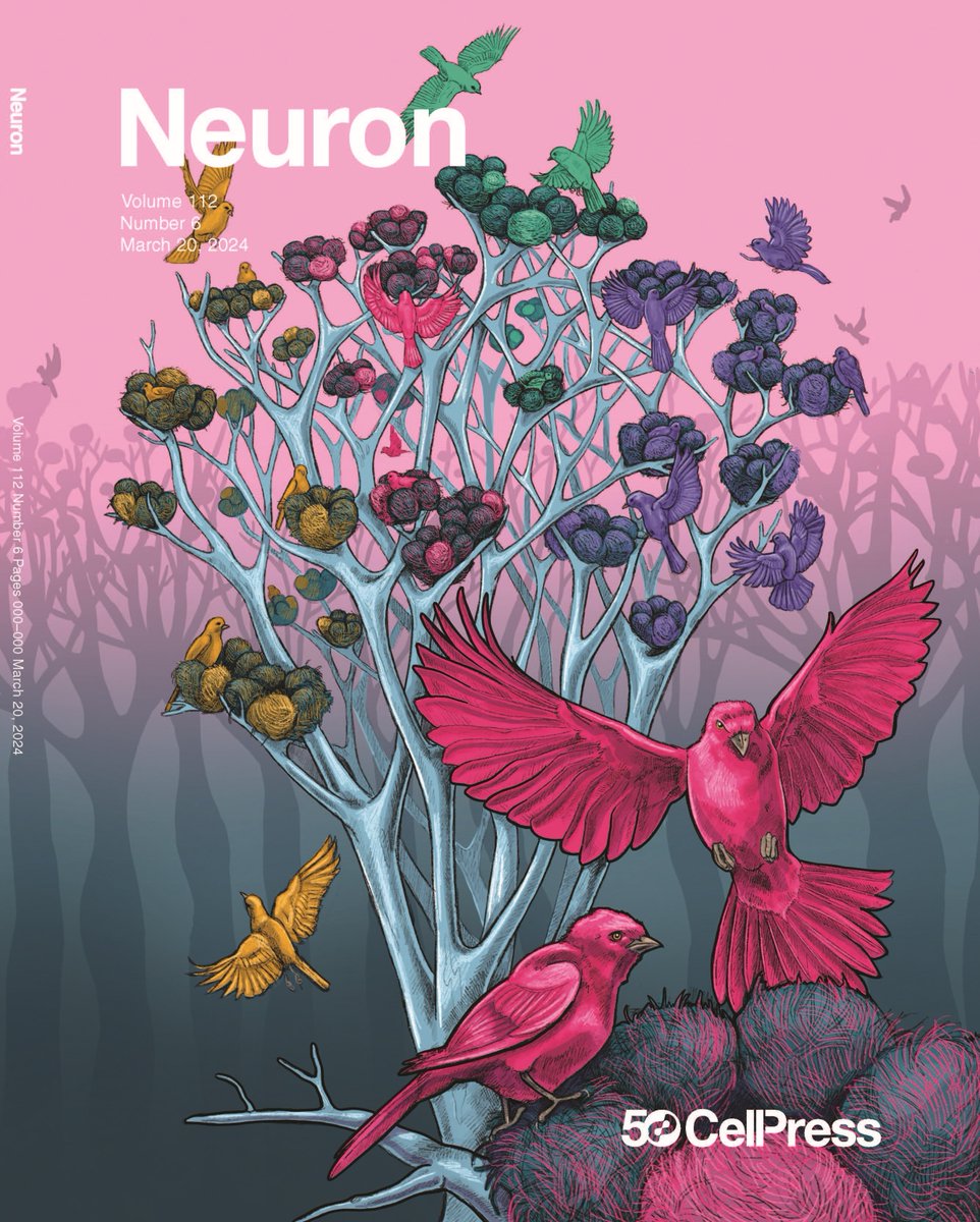 Neuron tweet media