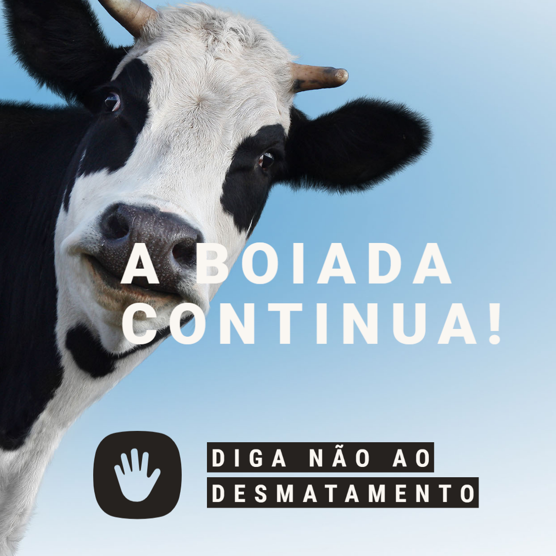 Os fanáticos da motosserra atacam novamente. 48 milhões de hectares de campos nativos em todo o Brasil estão na mira. Se o PL 364/2019 for aprovado hoje na @camaradeputados, preparem-se para a boiada arrasar tudo. #SalveOCódigoFlorestal #PL364NÃO