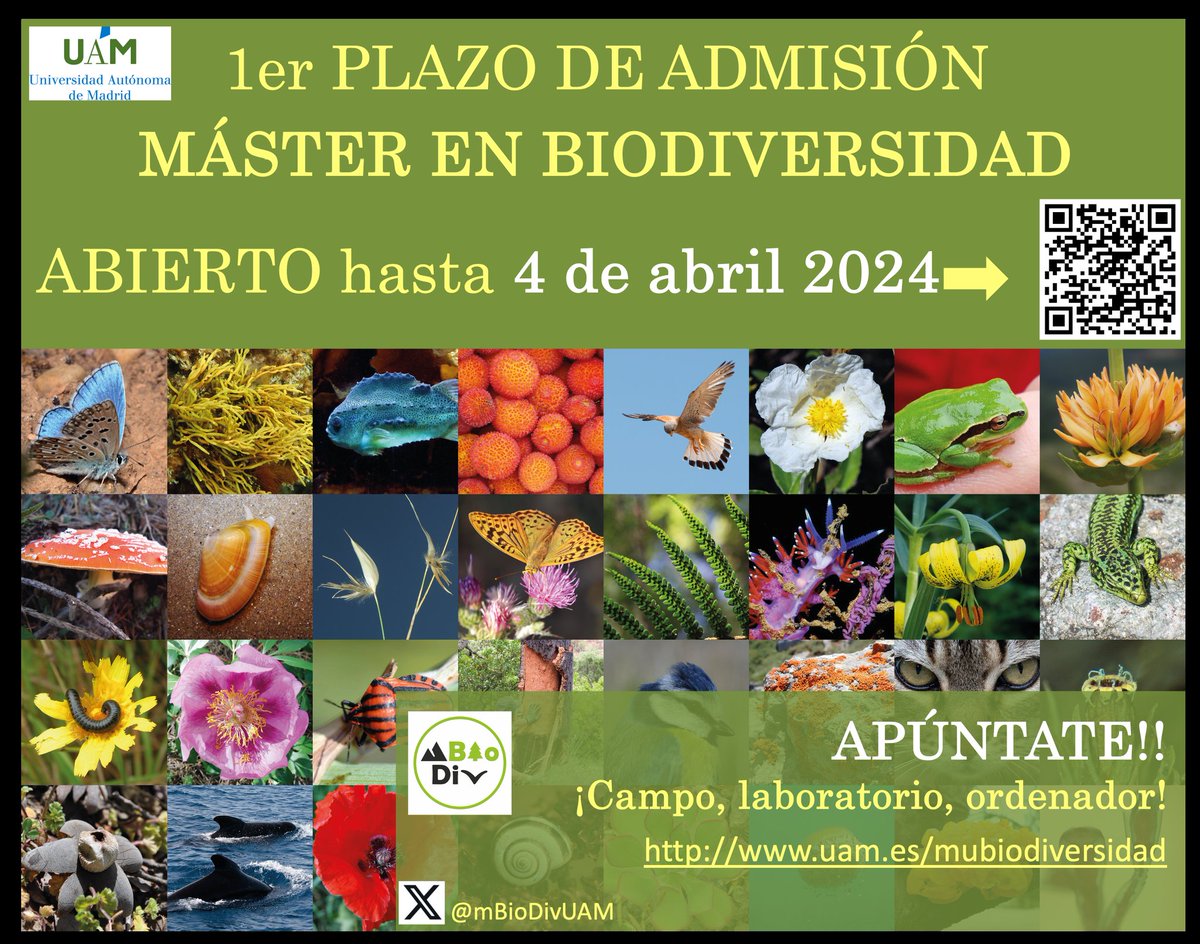 📢📢Solicita admisión ANTES del 4 de ABRIL en el Master en Biodiversidad de la UAM 📢📢. Tendrás gran porcentaje de prácticas (campo, muestreos, identificación, ordenador, laboratorio) y aprenderás de la mano de especialistas y profesionales (mesas redondas, seminarios) 👇(🧵1/4)