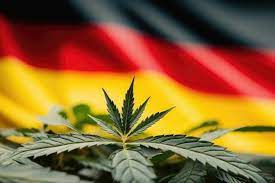 Why Germany's Cannabis Bill is Now on the Brink #Germany 🇩🇪 #Cannabis 🌿 businessofcannabis.com/why-germanys-c…