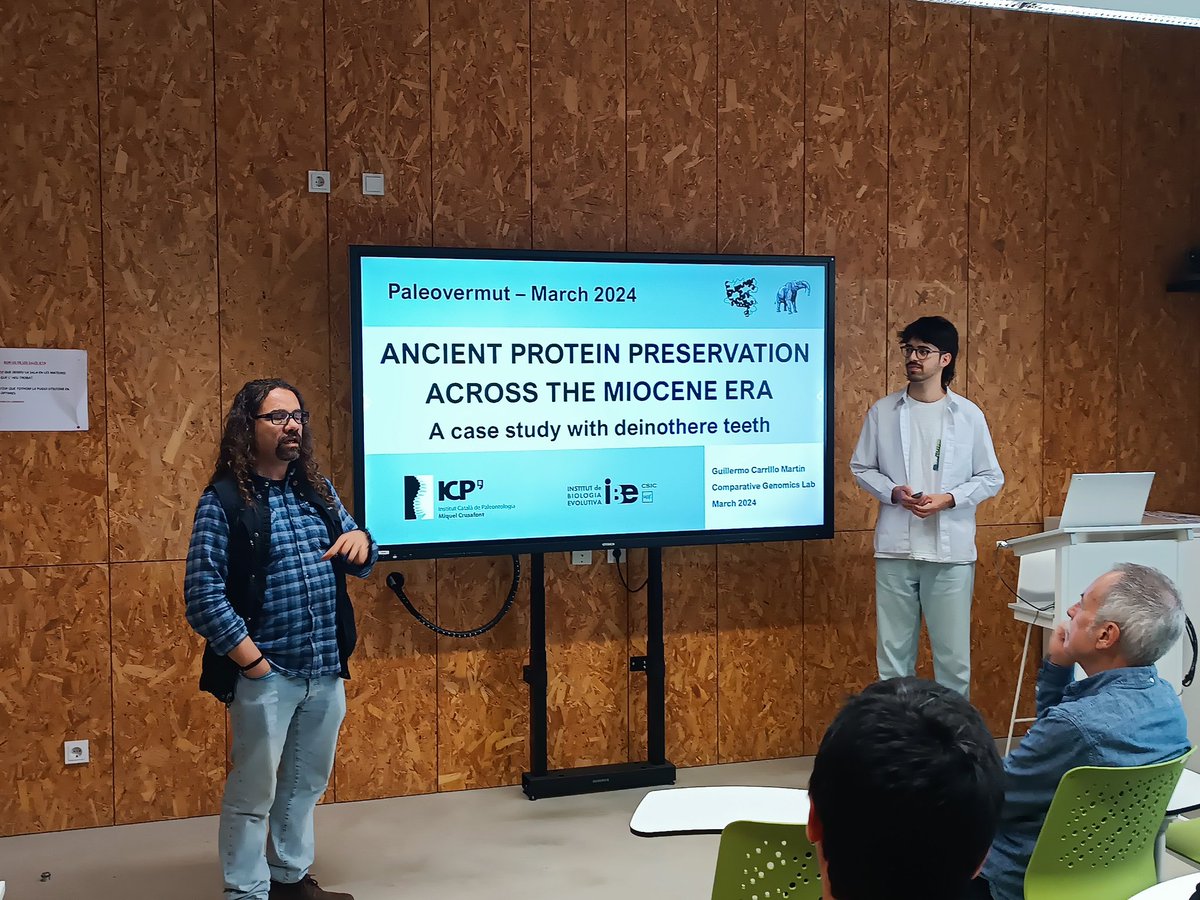 #Paleovermut talk on ancient protein preservation 'A case study using deinothere teeth samples' by @IBE_Barcelona researcher Guillermo Carrillo.