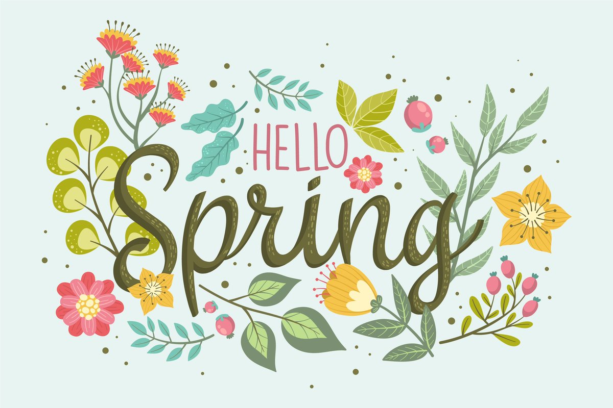Happy first day of Spring! ☀️🌷🌻🌺🌸🌿🍃

#hellospring #flowers #sunshine #blossom #trees #warmweather #springishere #ashleylynbarone