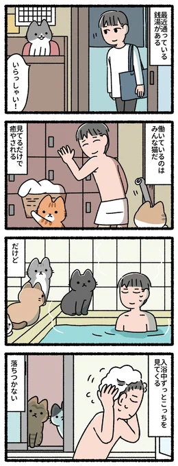 猫の銭湯 #ねこのおしごと 