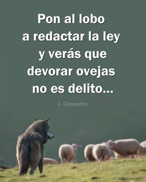 juangaleanorey's tweet image. 