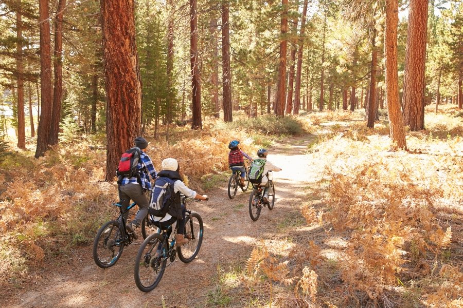 Suffolk Growth Partnership tweet media