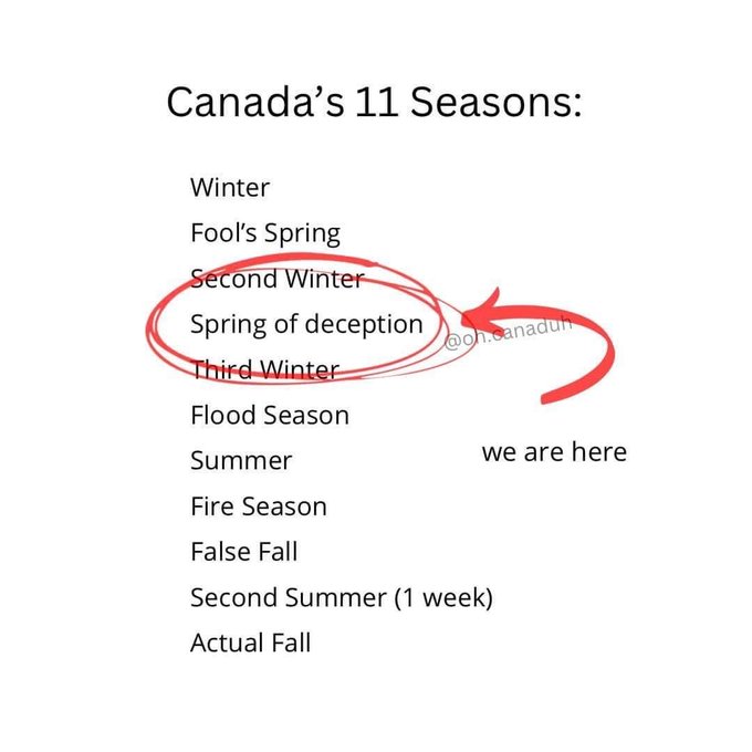 oh Canada 🇨🇦 ❤️ https://t.co/gfNDw0QKbS