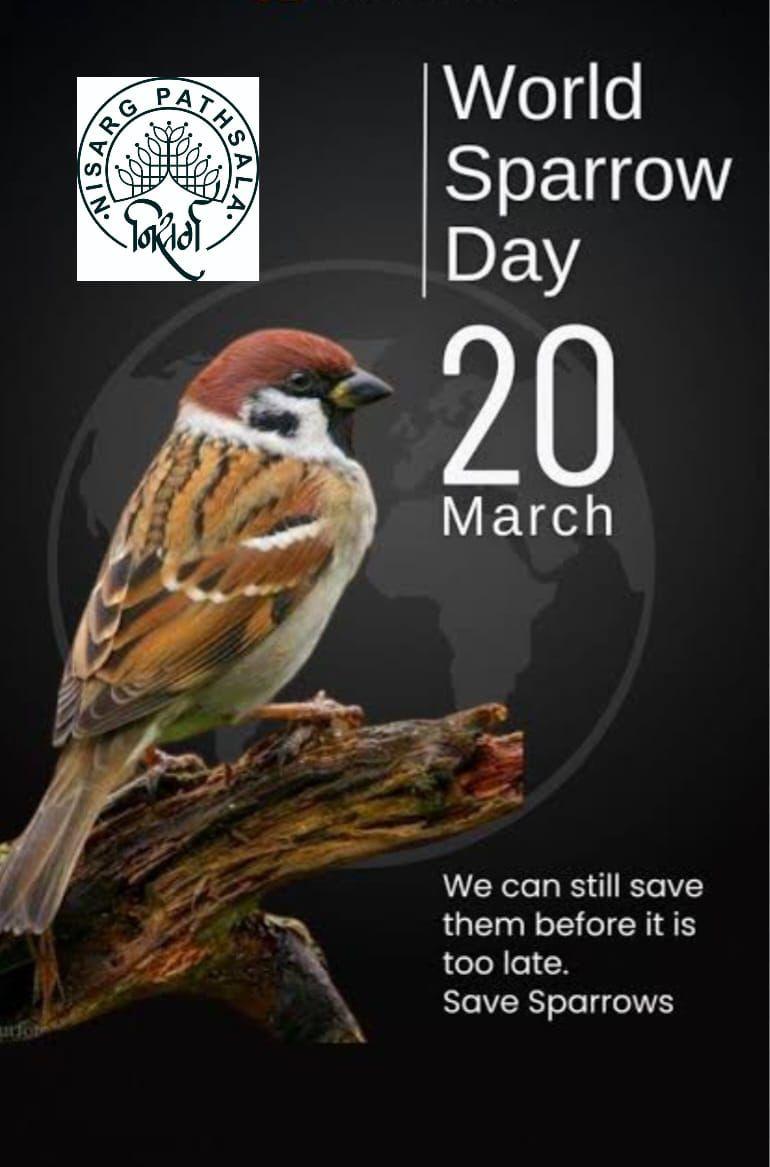 On #WorldSparrowDay, let us raise and spread as much awareness as possible amongst people to help save sparrows going extinct due to rapid high rise buildings & urbanisation . These small birds known for their resourcefulness are considered auspicious in many ways.