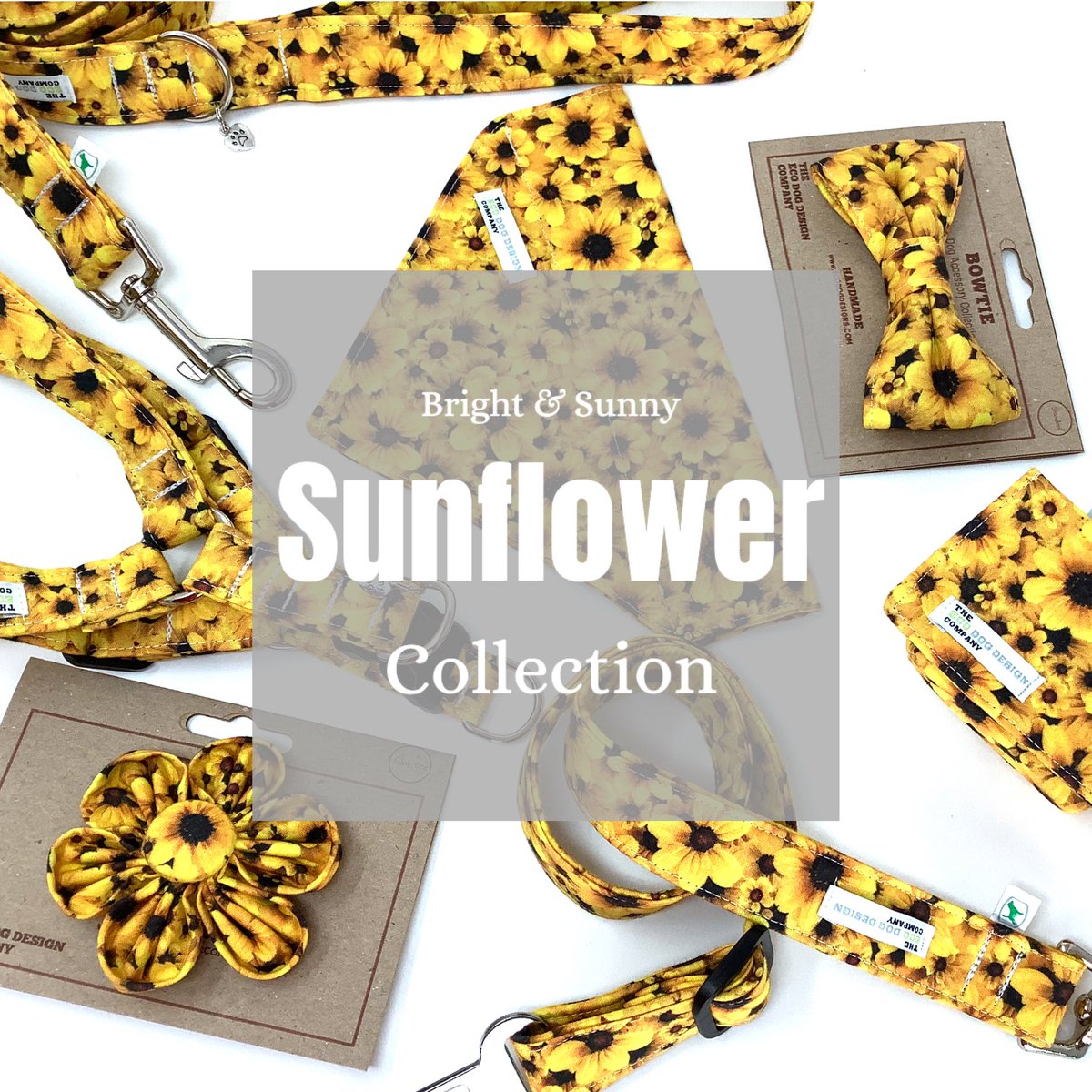 Ecodogdesigns's tweet photo. 💐Springtime means something bright and sunny.  #sunflowercollar #brightandsunny #springtimecollars #sunflowercollection 🌻🌻🌻🌻 https://t.co/aF6OzFK1qU