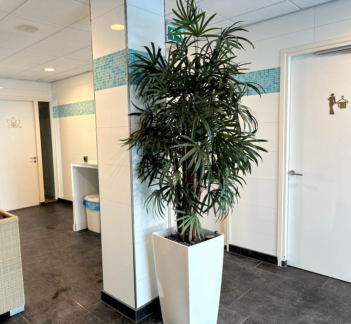 In opdracht gekregen.
Bij Hotel van der Valk in Duiven mogen we het zwembad, sanitaire ruimte en fitness ruimte voorzien van nieuw tegelwerk. 
Werken op grote hoogte 55m1