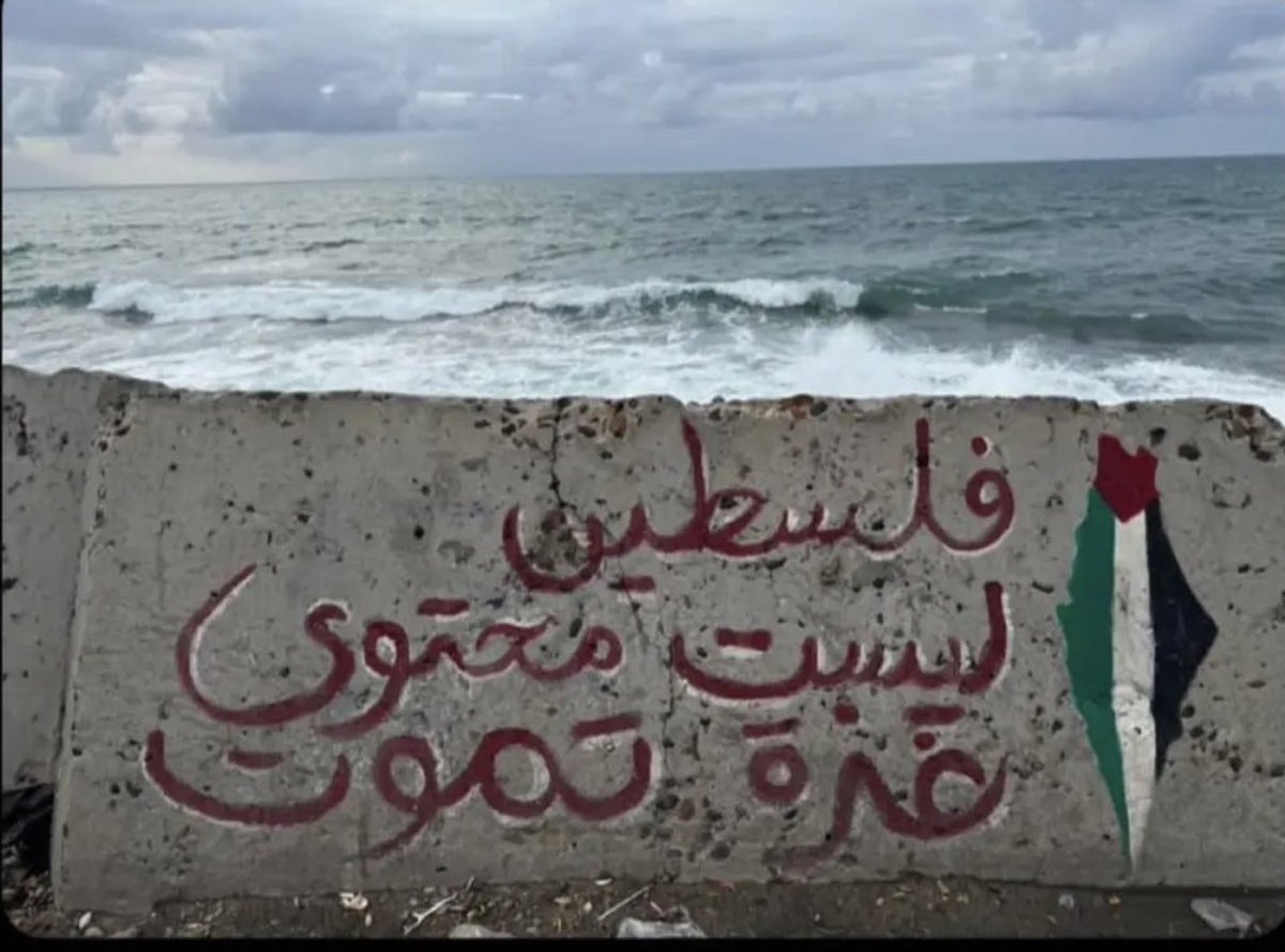 Filistin sosyal medya içeriği değildir. Gazze ölüyor!