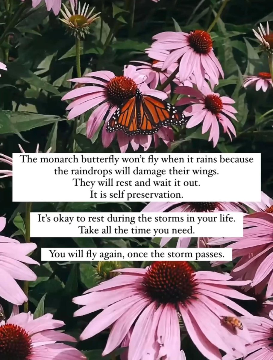 WelcomingWitch's tweet image. Remember, it’s perfectly okay to take some time for yourself after a busy period or a significant event. Self-care is essential for our well-being. Take this time to recharge and prioritize your mental and emotional health. ❤️

#SelfCare #TakeTimeForYourself