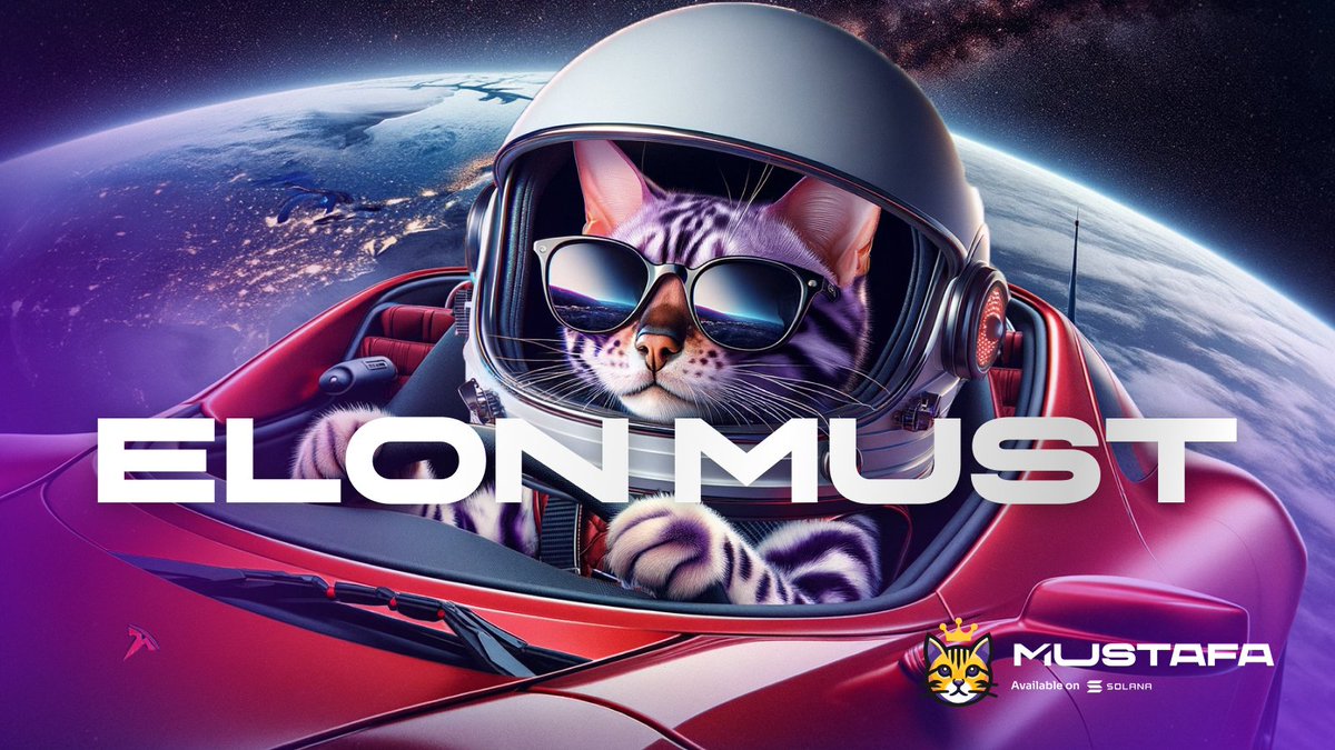 RealKingOfSol's tweet photo. we $must go to the space(X) https://t.co/My5t8bI7ku