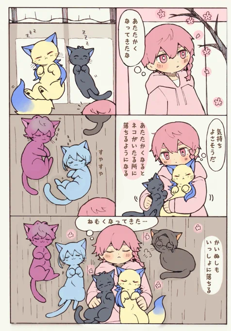 ポカポカ日和におちる
猫と飼い主🌸
※擬獣化
※獣化注意 