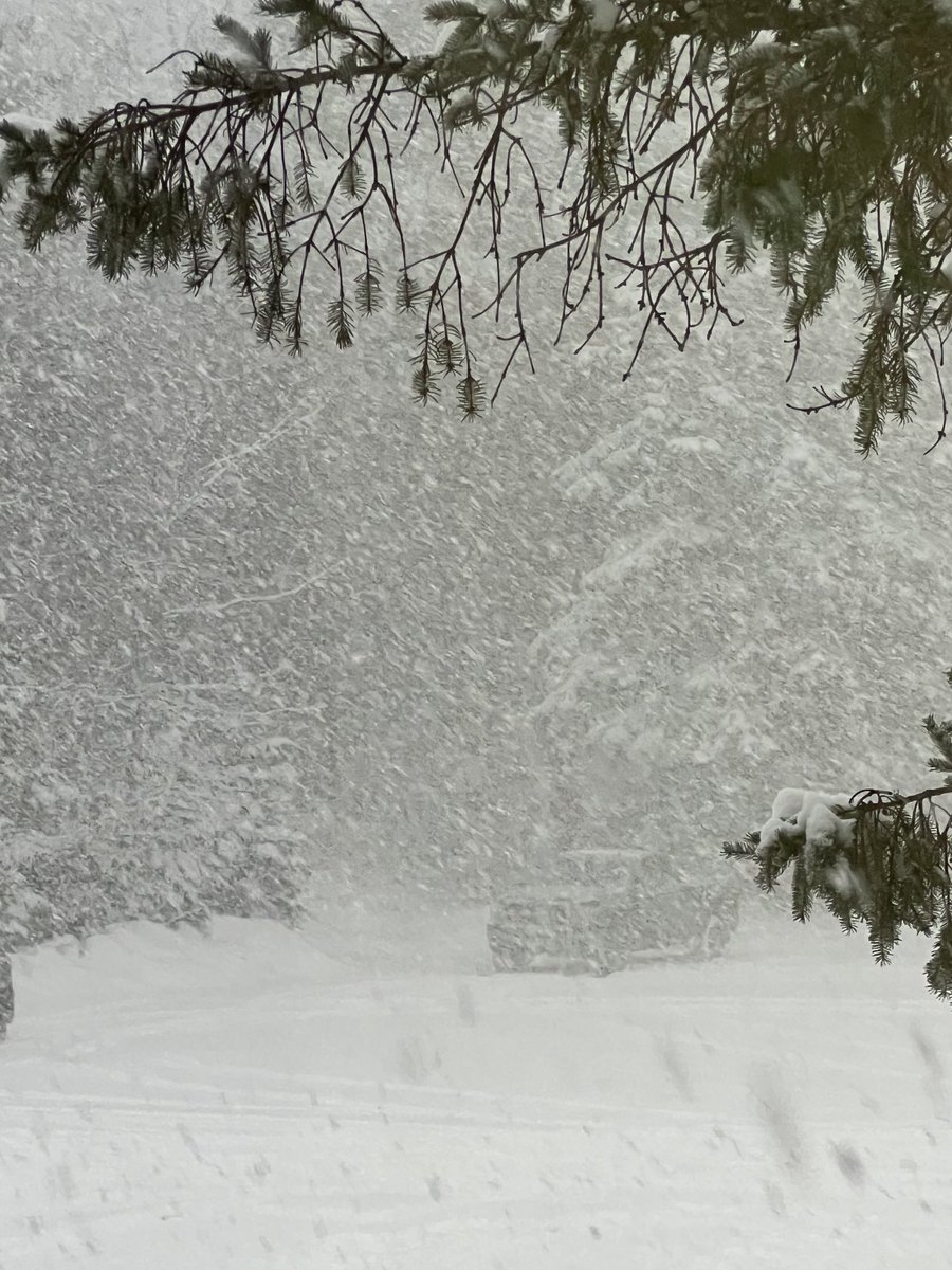 lkrossolife's tweet photo. #Muskoka
#MyOfficeView 
? https://t.co/6FXfvIyCyg