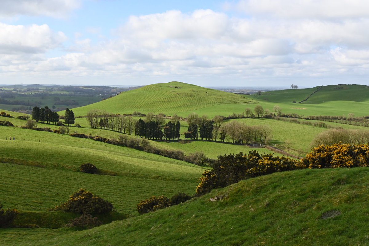 outdoorsligo tweet picture