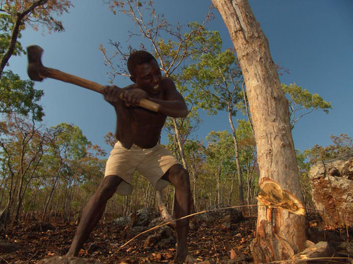 If you cut down a tree in Livingstone without permission from the council, you will pay K750,000. Via: Zambia Reports This is a good move!!! #ProtectTrees #PlantATree #EnvironmentProtection