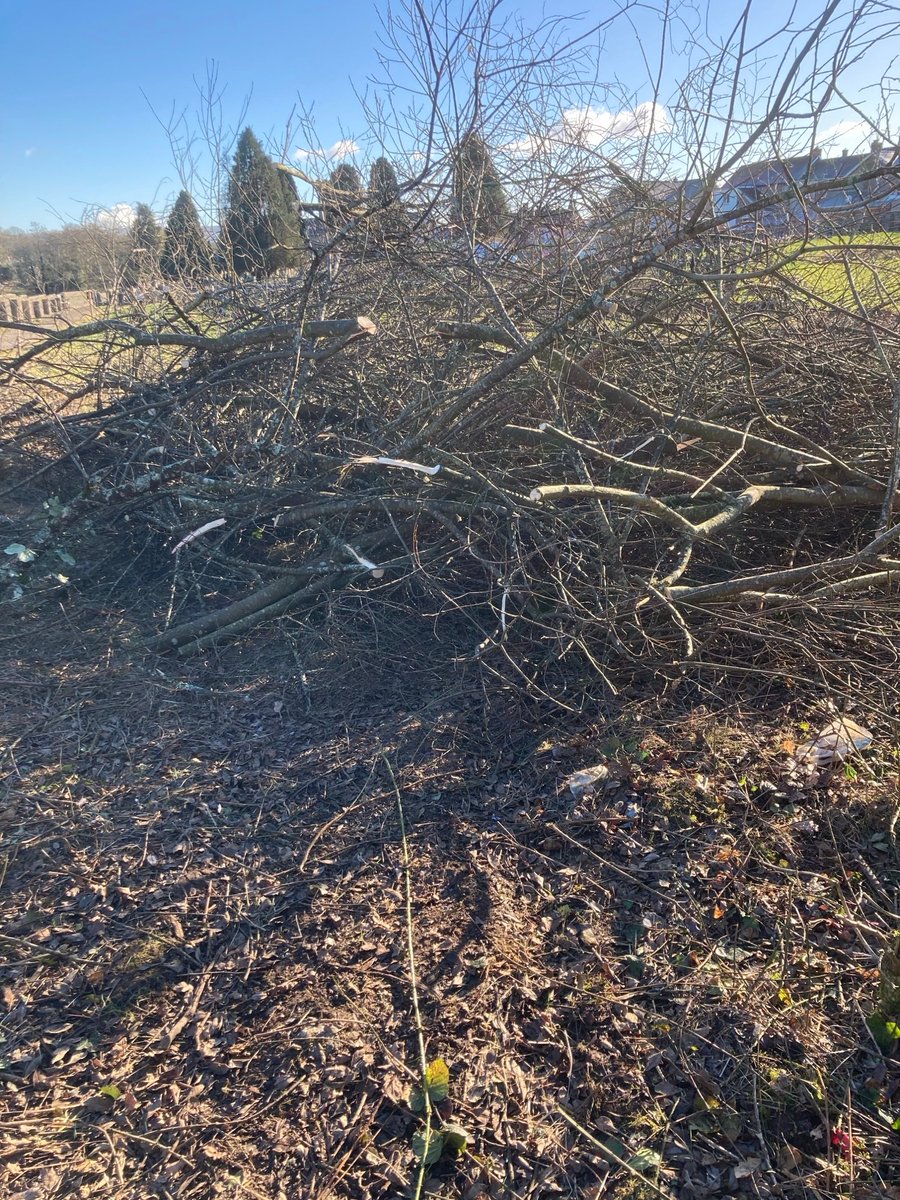 many thanks to <a href="/DafyddLlywelyn/">Dafydd Llywelyn</a> for coming out see our people on probation and chat with our members of staff. Aaron and his group have been clearing brambles, trees, overgrowth and edging paths at Llandybie church.