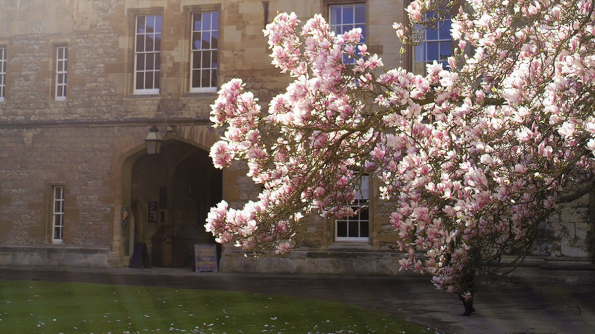 oxfordalumni's tweet photo. ๐บBlooming magnolia flowers outside @NewCollegeOx chapel.
Where is your favourite place in Oxford during the spring blossom?
#NewCollegeSpring #NewCollegeOxford #Magnolia #SpringBlossom
๐ท Alumni Office / AG https://t.co/dpjNooW9f1