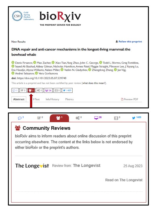 We’re excited to announce that Longevist-featured preprints are now included in BioRxiv’s newly launched Community Reviews tab! 🎉 This new feature informs readers about online discussions of #preprints occurring elsewhere. 📚 @biorxivpreprint @cshperspectives @JohnRInglis