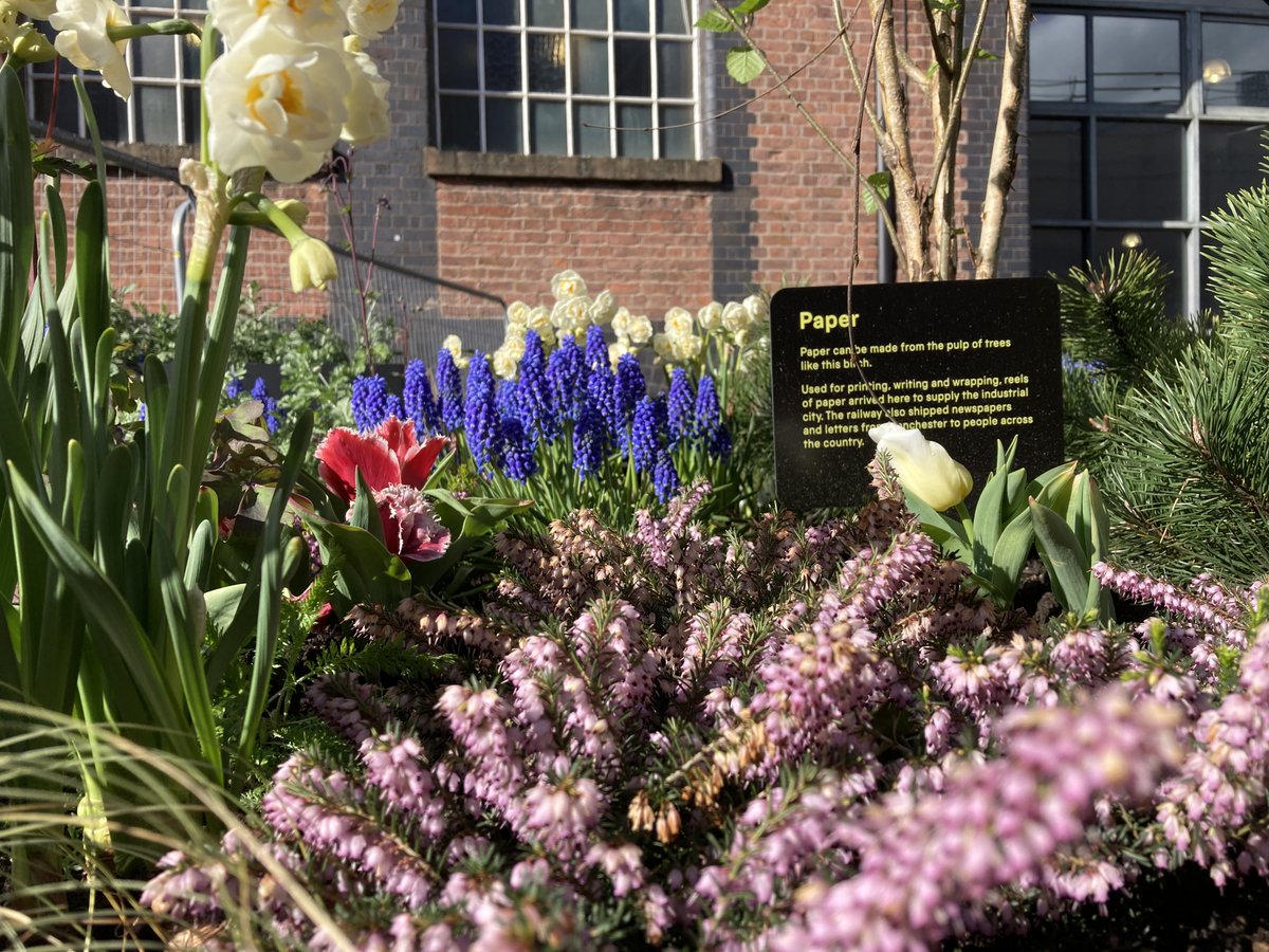 We're looking for people to join our team of amazing Garden Volunteers 🌷🌳 Help us care for the beautiful Planting Stories planters and share their stories with our visitors. If you're a keen gardener or want to try something new, learn more and apply 👉 bit.ly/3LYDbKW