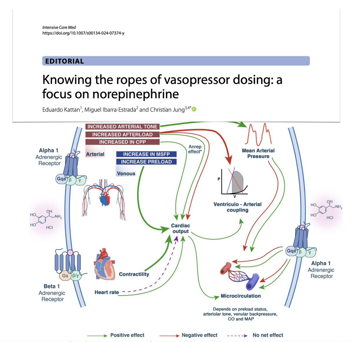 Vasopressors? Focus on norepinephrine 💉pharmacological properties 💉current dosing strategies Consensus of definitions needed (ie refractory shock or high-dose vasopressors) as equivalences between drugs (catecholaminergic/non) to facilitate comparisons 🔓rdcu.be/dBHs4