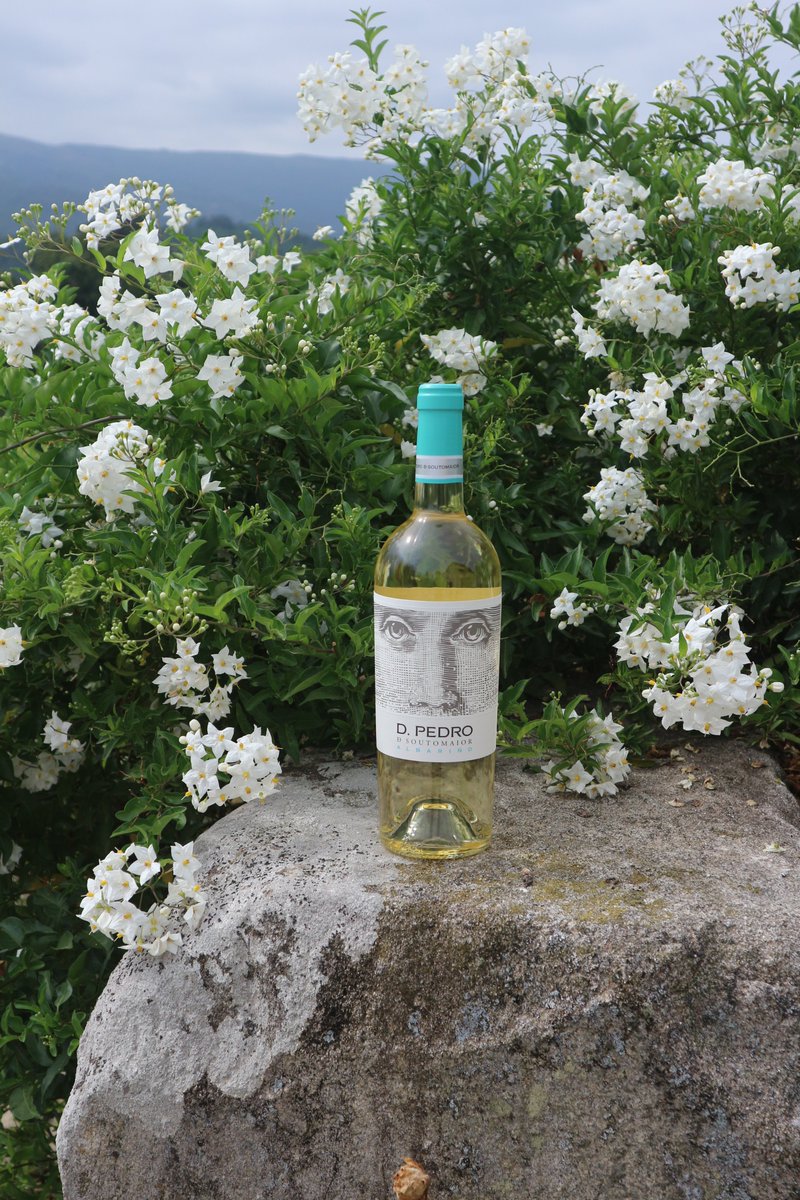 Con ganas de disfrutar de las tardes de primavera acompañadas de un buen #albariño 🥂