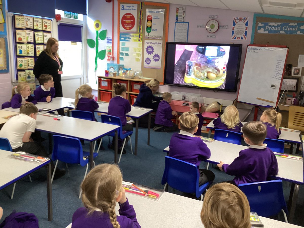 Mrs Rollason tweet media