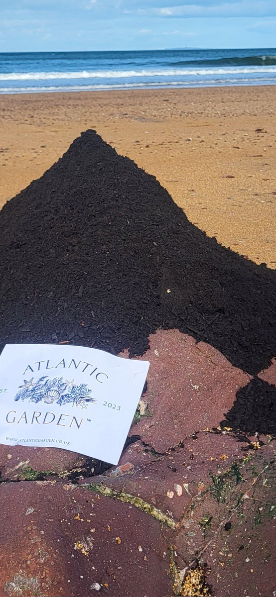 Well this is an exciting moment! atlanticgarden.co.uk is launched. Lovely rrrrrich seaweed enriched compost. % of every bag sold goes to the Scottish Coastal cleanup charity. ENTIRE packaging can home compost in 180 days too. #gardens #compost #Scotland #environment #delivery