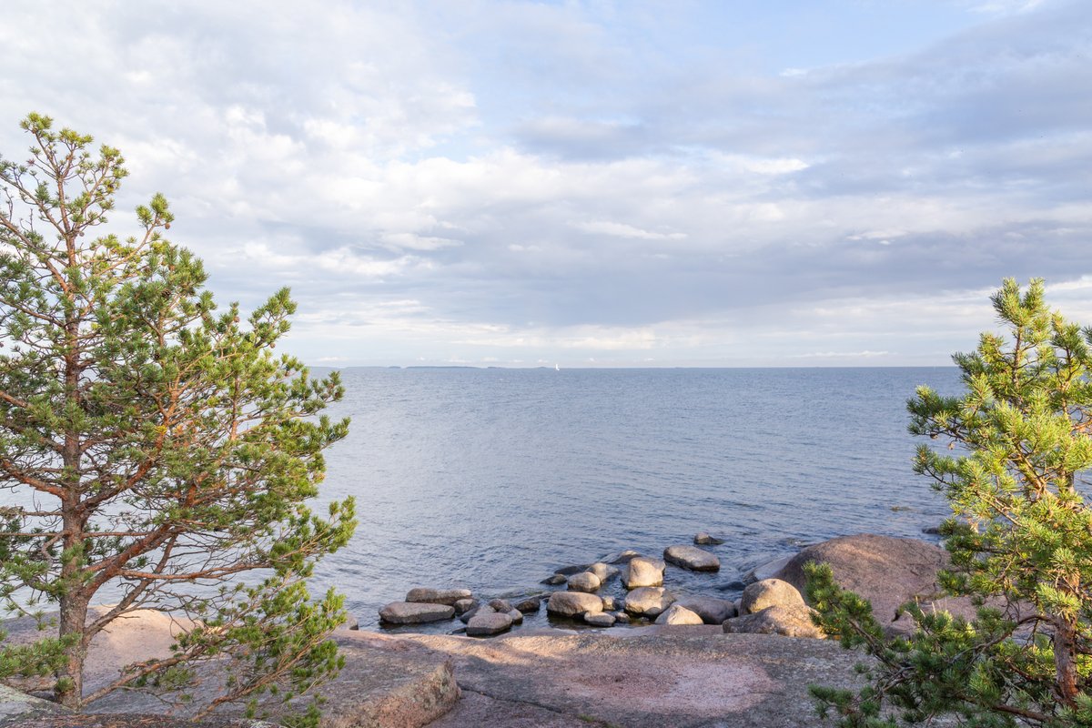 Interreg-ohjelmien kansallisen vastinrahan evääminen joiltakin Baltic Sea Region -hankkeilta on herättänyt keskustelua. Avasimme muuttuneiden säännösten ja ohjelmasihteeristön tulkintojen vaikutuksia valtiontukeen. Kannattaa tutustua! rakennerahastot.fi/-/ohjeistusta-…