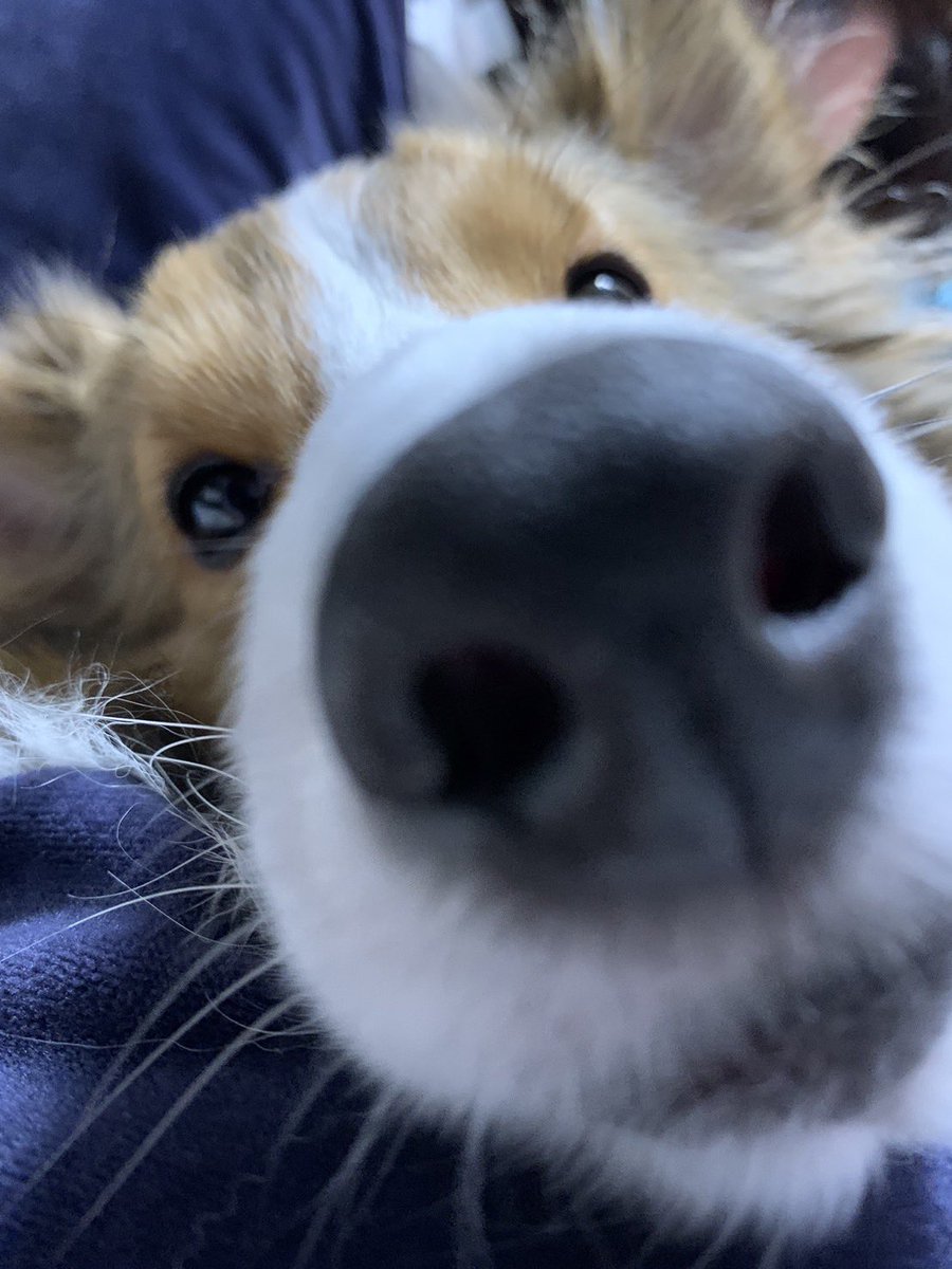 かわいいなあもう！