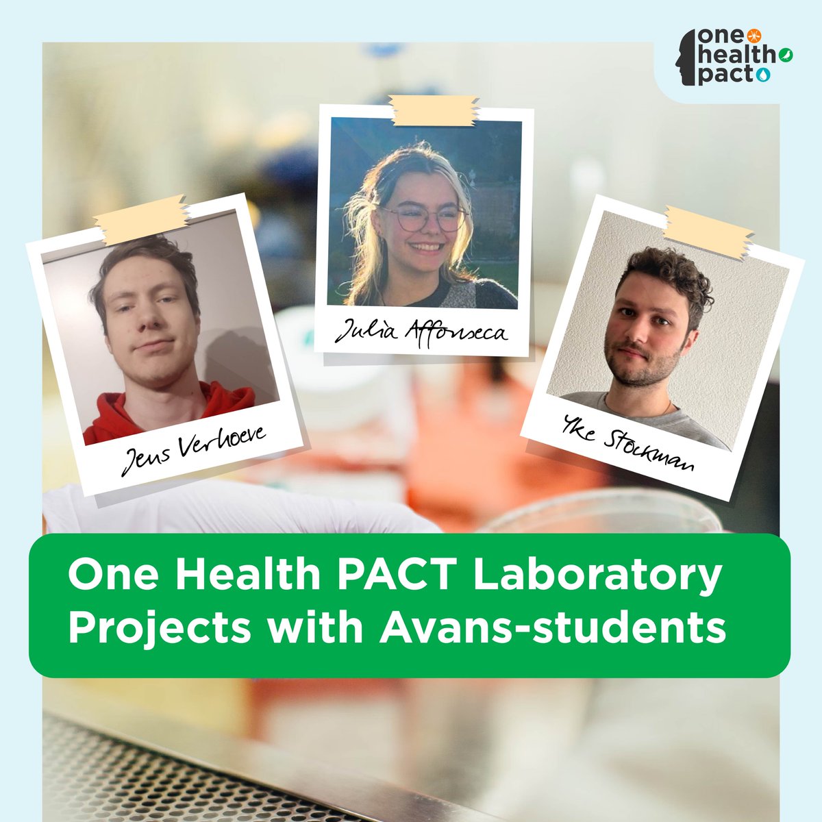 Welcome to the next three Biology and Laboratorial Research students from @AvansHogeschool! Jens Verhoeve, Julia Affonseca and Yke Stockman will be part of our One Health PACT projects. Who are these students? Go to: onehealthpact.org/news/introduci… #onehealth #mosquitoes #Onehealthday