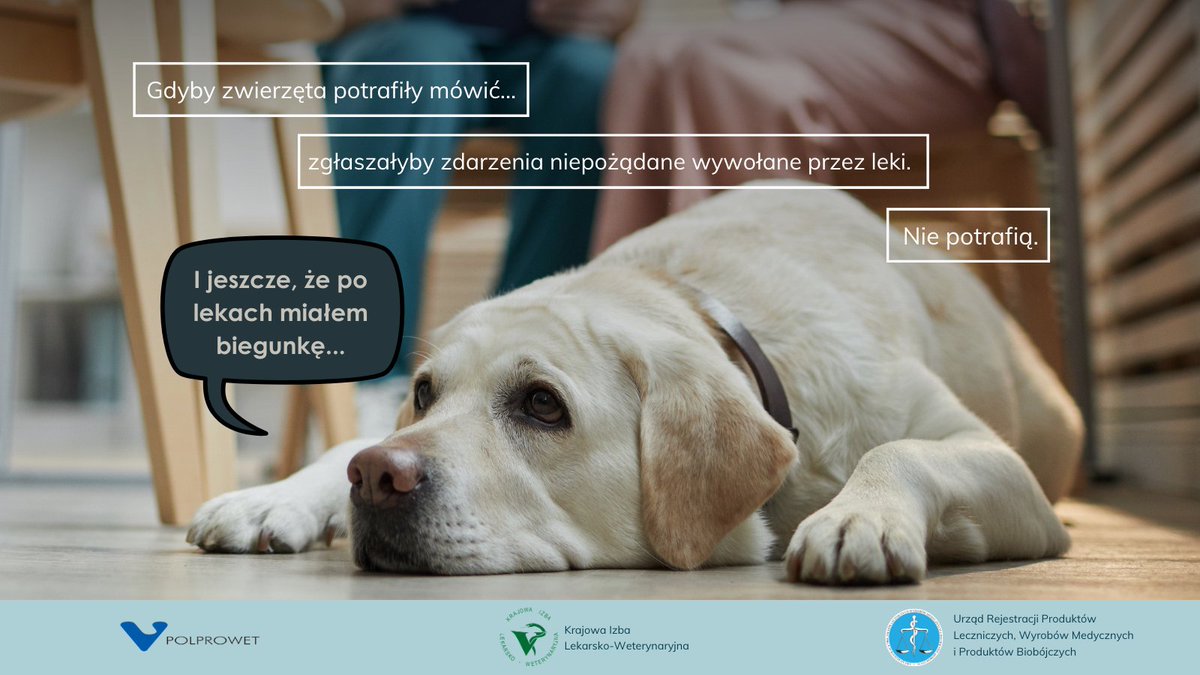 POLPROWET tweet media