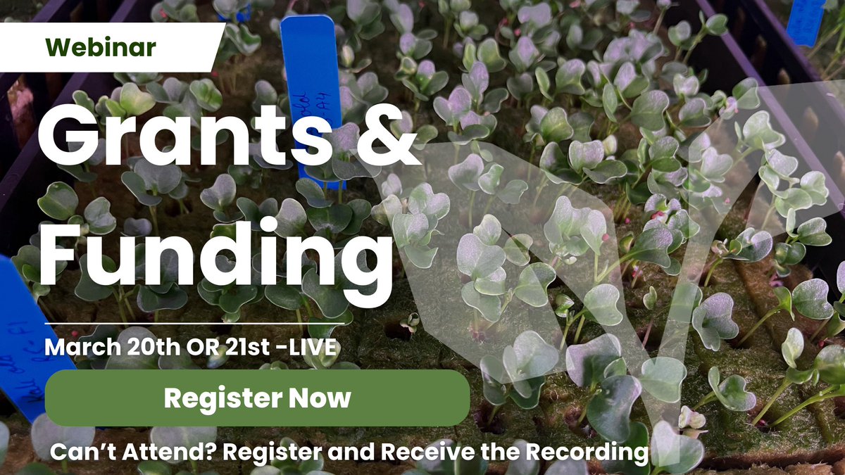 TODAY! Register to demystify the world of grants and funding --> hubs.ly/Q02q0mHX0 This upcoming presentation and Q&A session are designed to help you navigate the landscape of project funding.