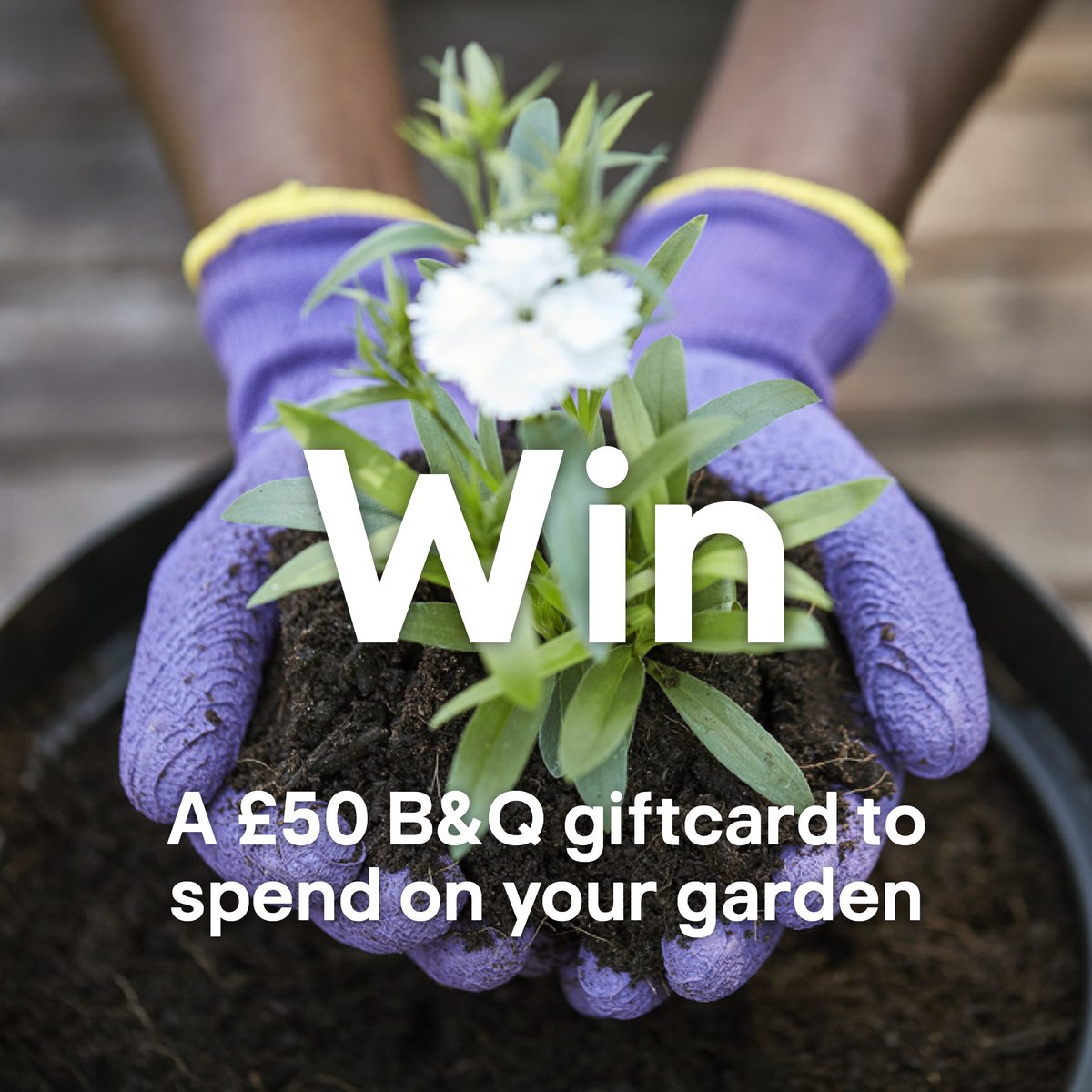 Say hello to the first day of spring with the chance to win a £50 B&Q gift card 🌸☀​ To enter: 1️⃣ Follow @BandQ 2️⃣ Like this post​ 3️⃣ Tag a friend who can't wait to get out into the garden ☀​​ Prize draw closes at 23:59 on 27 March 2024. Ts&Cs apply – bit.ly/3Pvvvlf