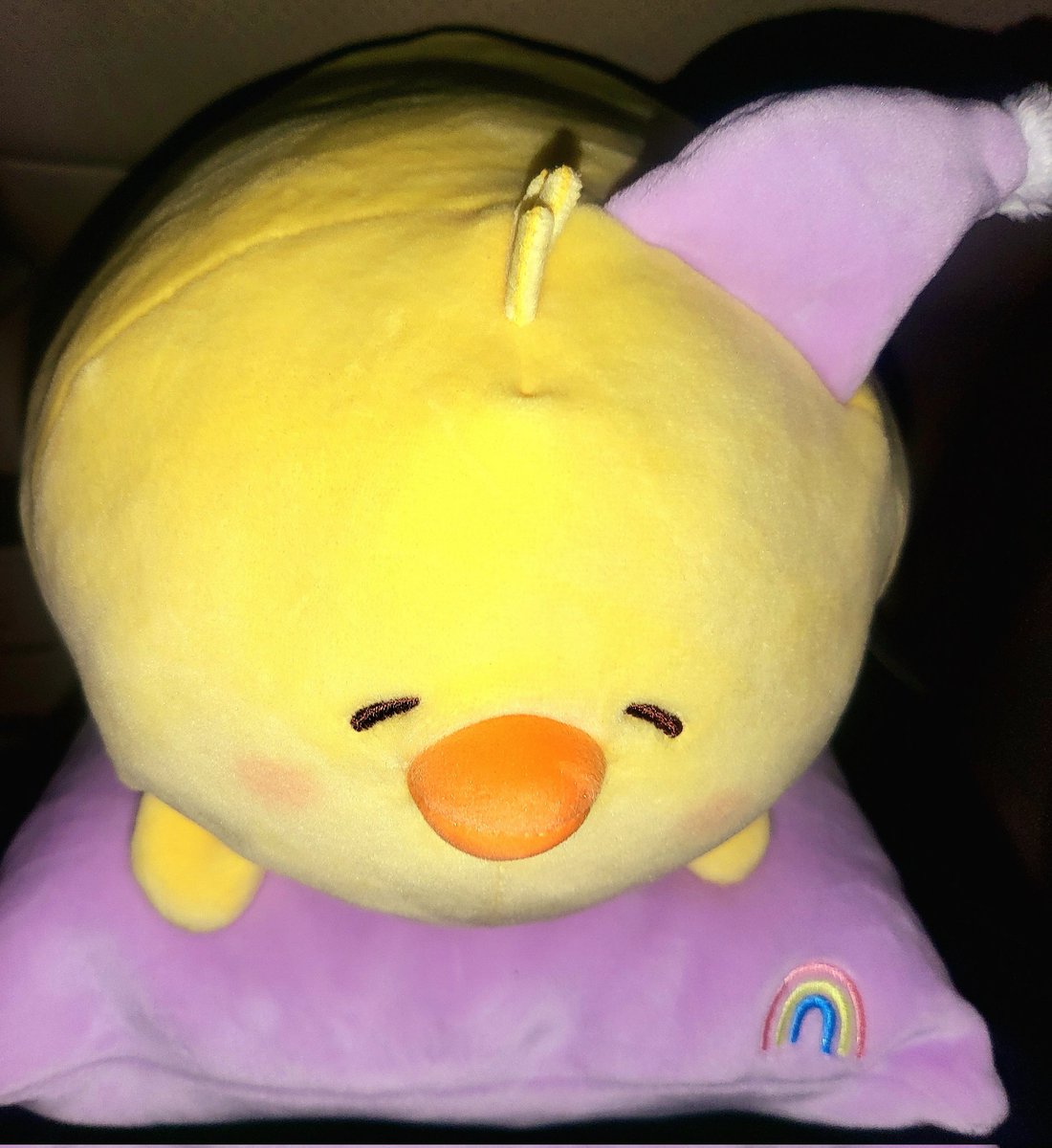 다이소에서 한노아 주움