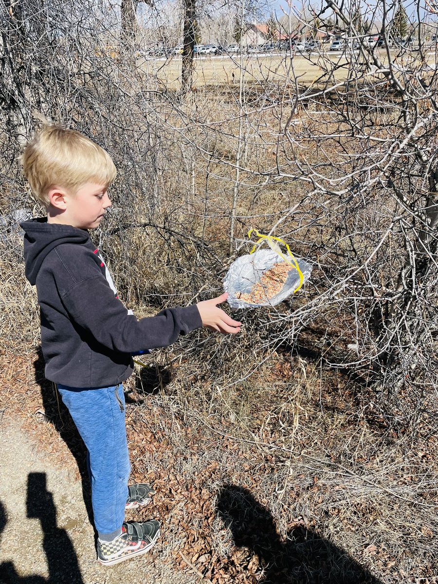 Jessica McNary M.A. Ed. tweet media