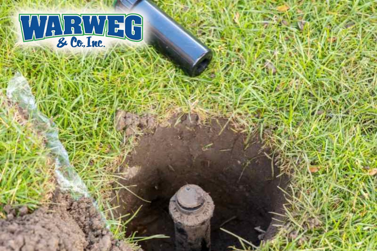 WarwegCompany's tweet image. Say goodbye to uneven watering and hello to a lush, green landscape with our Lawn Sprinkler Installation Services! this system ensures that every inch of your yard receives the right amount of water, preventing dry spots and promoting healthy growth #LawnSolutions #GreenGardens