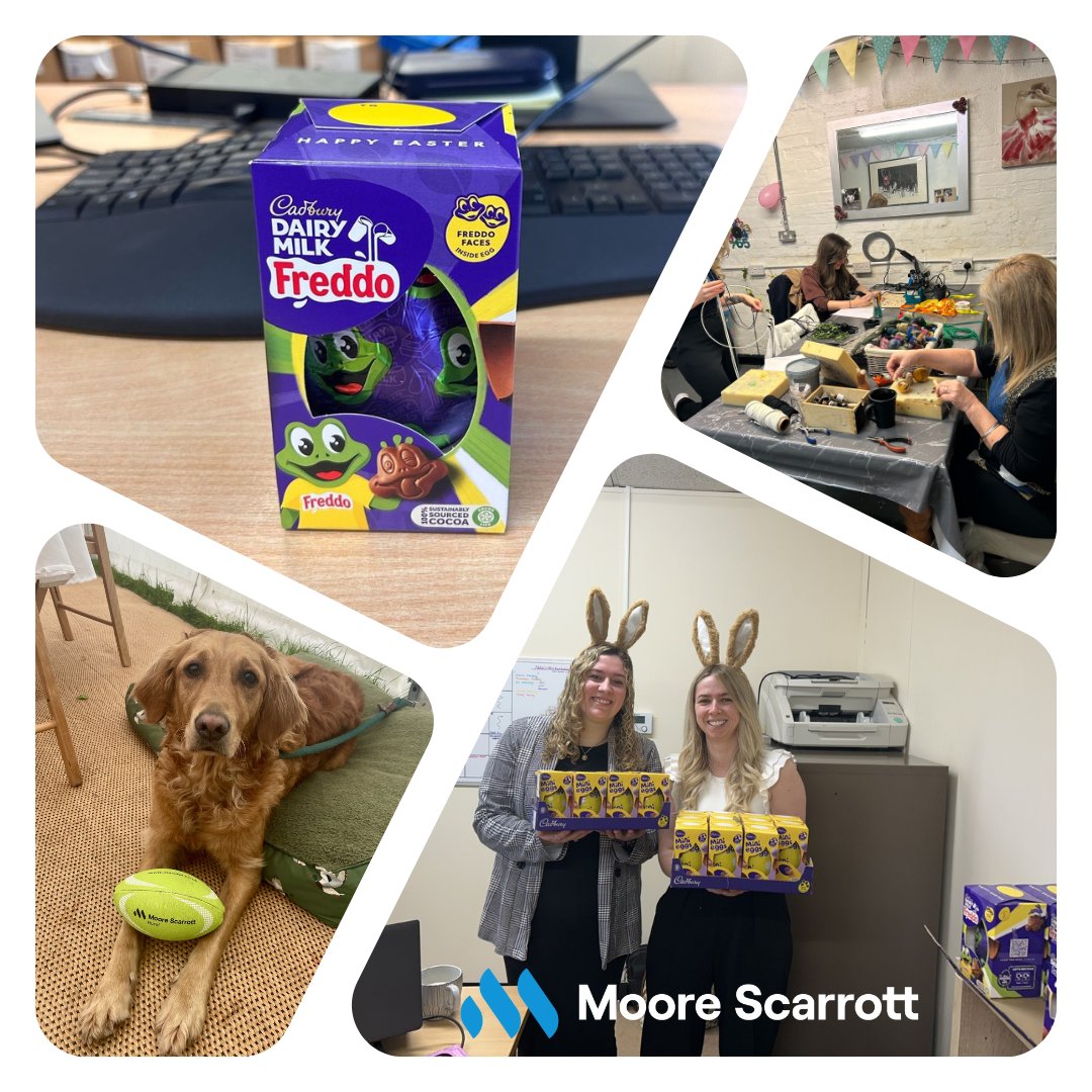 MooreScarrott's tweet photo. Today is 🌞#InternationalDayofHappiness2024 🌞

Here are a few things at Moore Scarrott which make us happy-

🐶 Lottie the Dog
🤸‍♀️ Team socials
🐇 Easter Bunny arriving early

#team #workperks https://t.co/AnGZsVnRmC