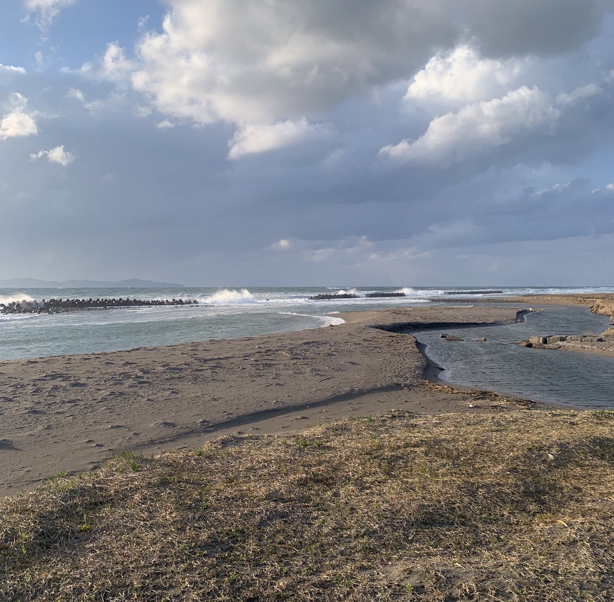 Show1_ito's tweet photo. 米子市。#shore #plants #roughwaves https://t.co/yNop4B7A5k