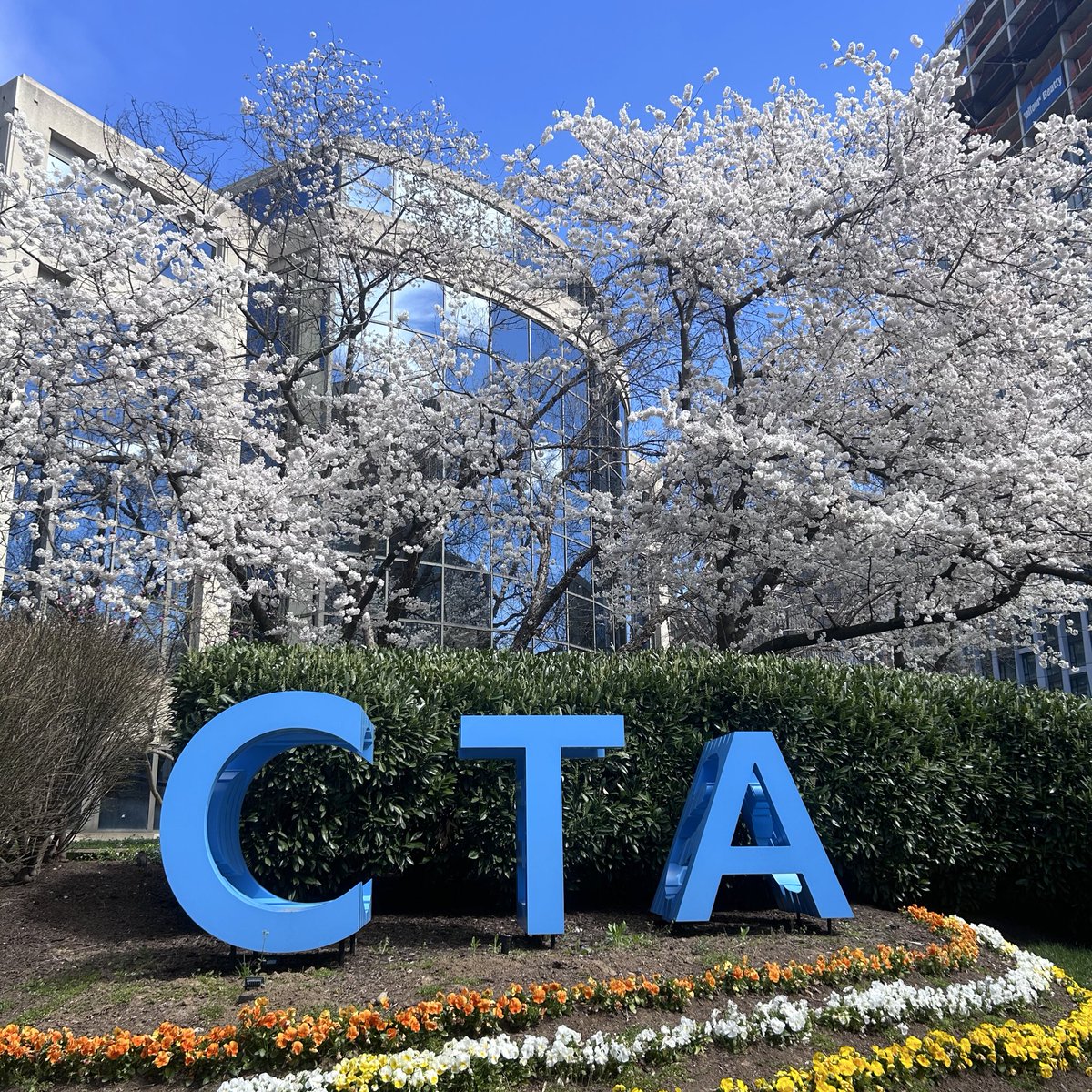 Happy First Day of Spring! Cherry blossoms in full effect at @CTATech HQ 🌸