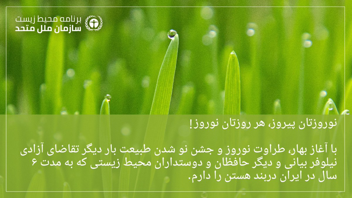 Best #Nowruz greetings to all! In the Nowruz spirit of new beginnings celebrating the beauty of nature I once again plea for the release of our @UNEP colleague, Niloufar Bayani & the other conservationists imprisoned in Iran for more than 6 years.