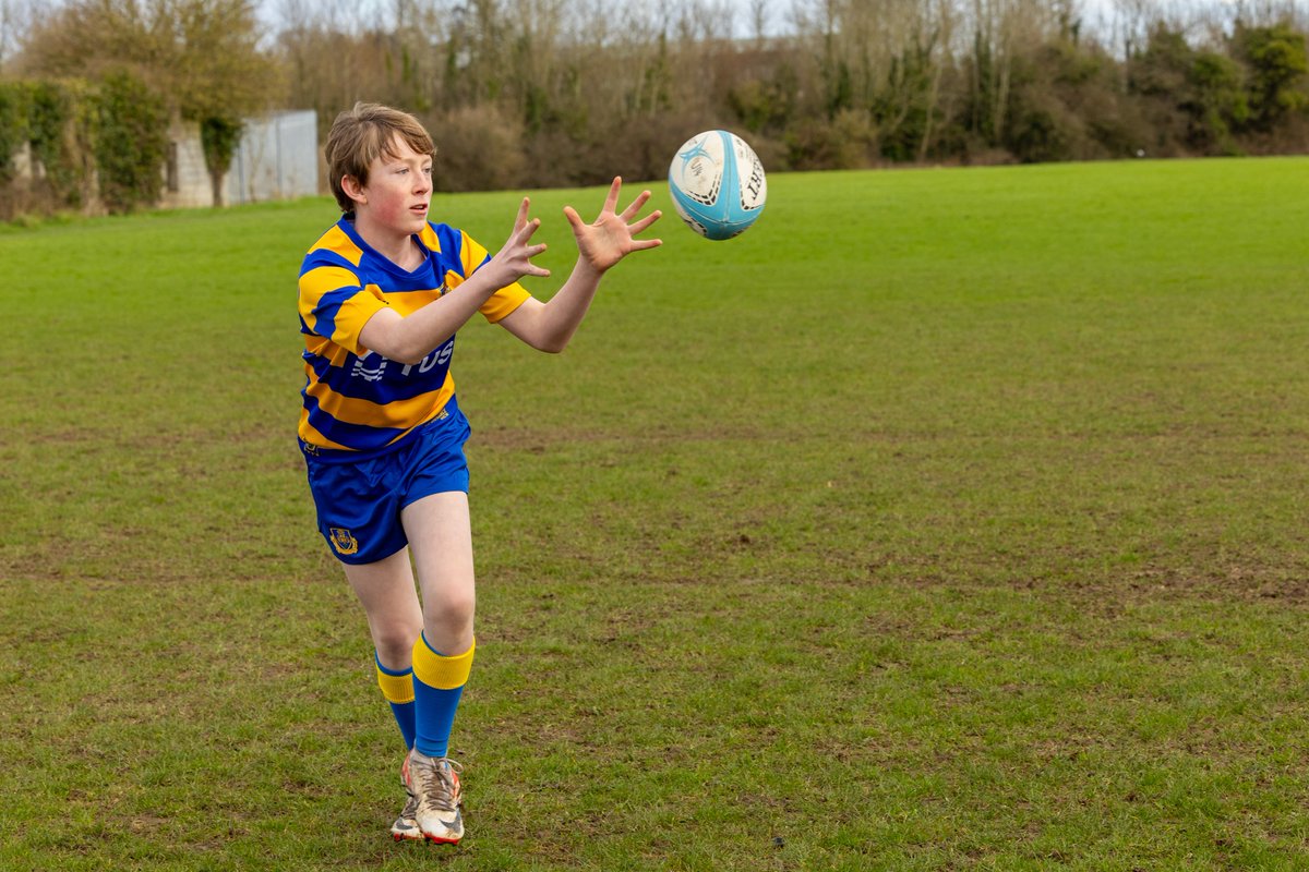 Technological University of the Shannon tweet media