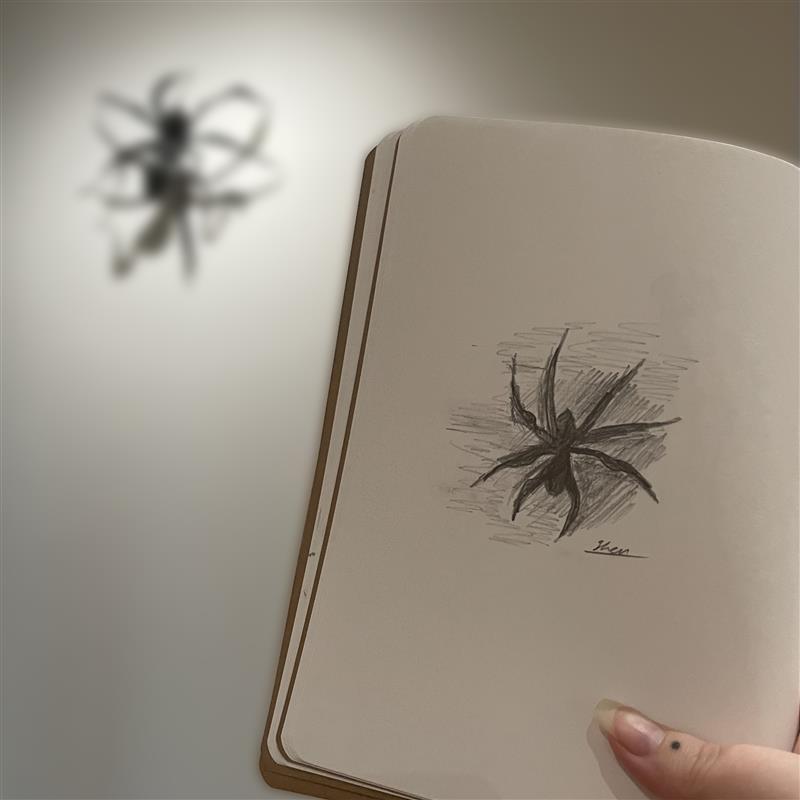 🕸️ We have absolutely loved seeing all of your Louise Bourgeois inspired sketches! 📆 See ARTIST ROOMS: Louise Bourgeois at Aberdeen Art Gallery open now through Sunday 9 June! 🎟️ We’re open Monday-Saturday, 10am-5pm and Sundays 11am-4pm. Admission is free - see you there!