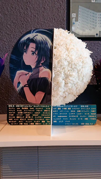 はんげつであえたらの楽屋花の真さんお花は右側から自然光が入る場所に置かれていて、真は影の王となっていました 